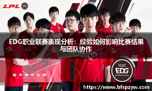 EDG职业联赛表现分析：经验如何影响比赛结果与团队协作